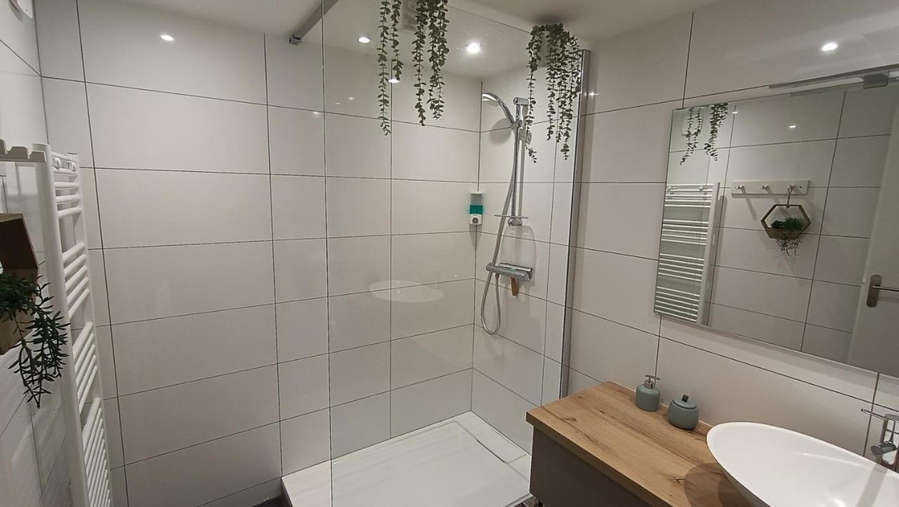 דירות ברברז Refuge Des Myosotis - Proche Chambery - Jardin - Calme - Cosy מראה חיצוני תמונה